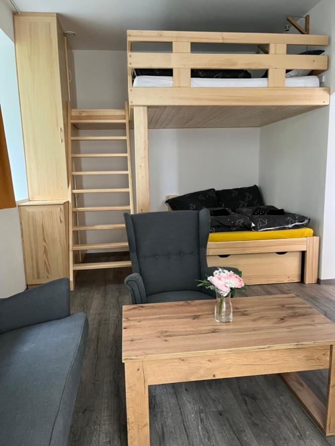 Moderni Apartman Uprostred Sumavske Prirody Zdikovec Exteriör bild
